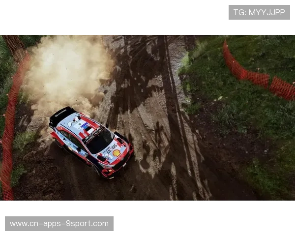 世界拉力锦标赛战术策略研究