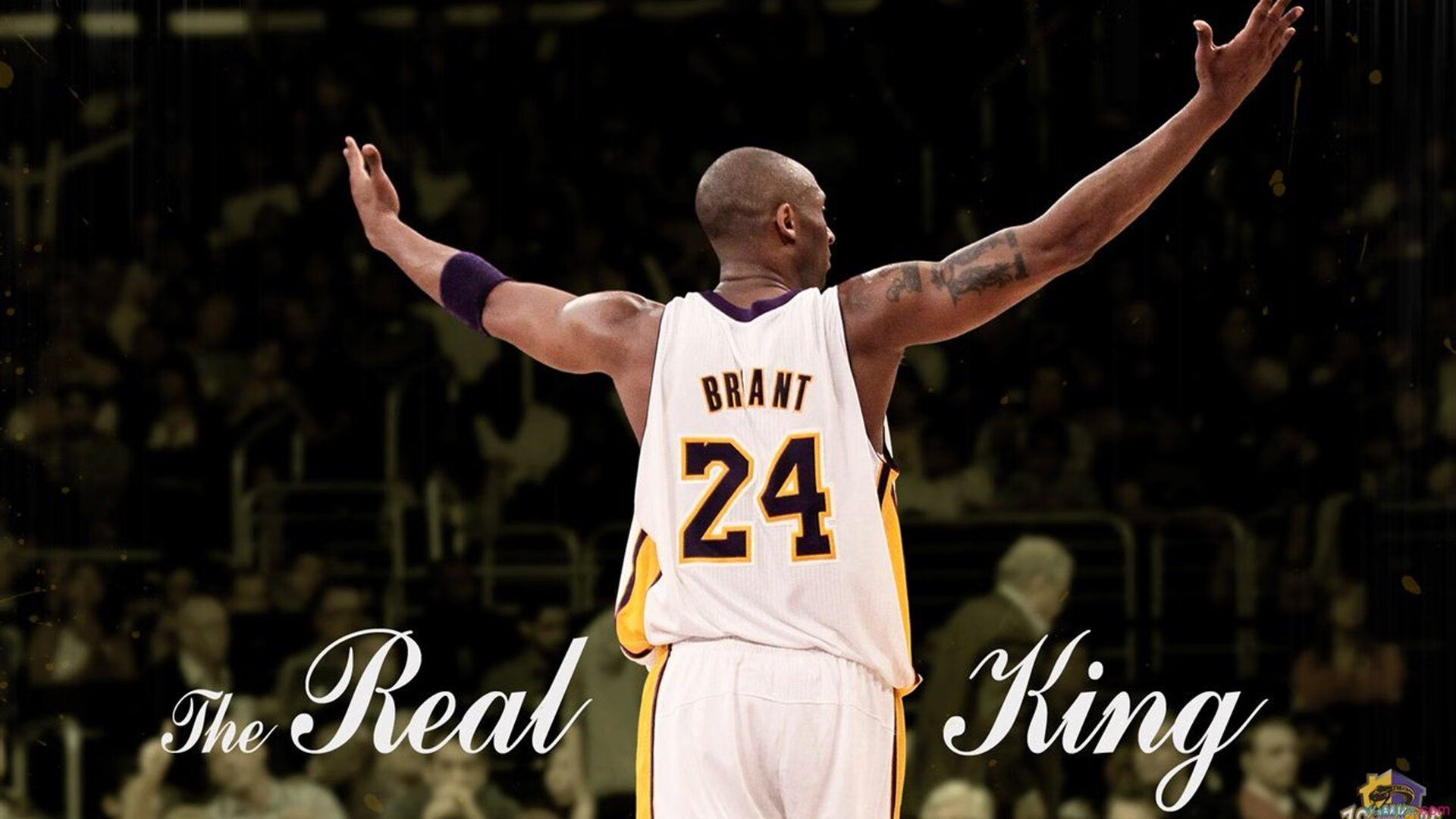 9游app-决赛门票一售而空，城市陷入狂欢氛围，决赛流程