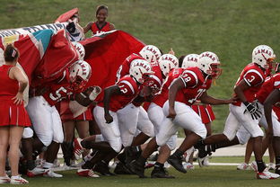 JIUYOU GAMING-印度继续保持连胜,主帅称尚未满足,印度21人对战数万人