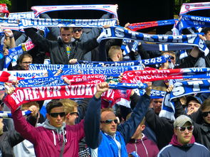 九游游戏在线玩-国足战术演练亮点曝光引球迷关注，国足技战术分析